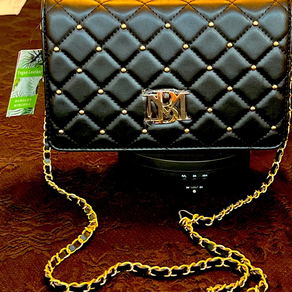 New Bradgley Mischka bag